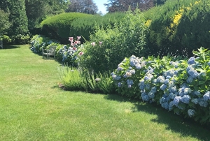 The Mary Kay and John Brennan Garden